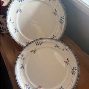 Elegant Blue and White Floral Dinner Plates
